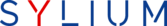 Sylium Ltd | AI-Driven Digital Transformation for SMEs
